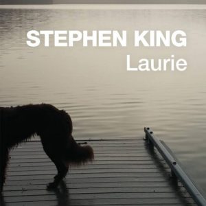 LAURIE (FLASH RELATOS) EBOOK